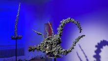 Fleeing Shadows Challenger