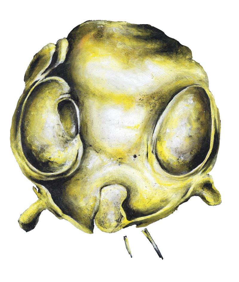 Rapatronic eyes